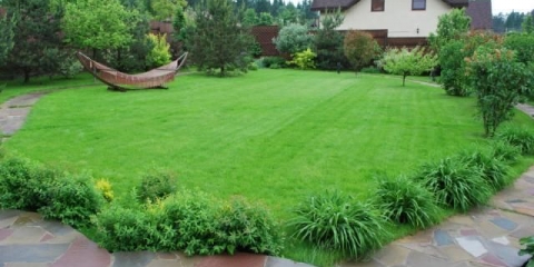 Kako posijati travnjak vlastitim rukama